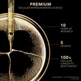 Premium Die globale Maske